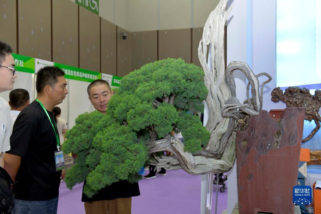 92933香港环球慱彩网
